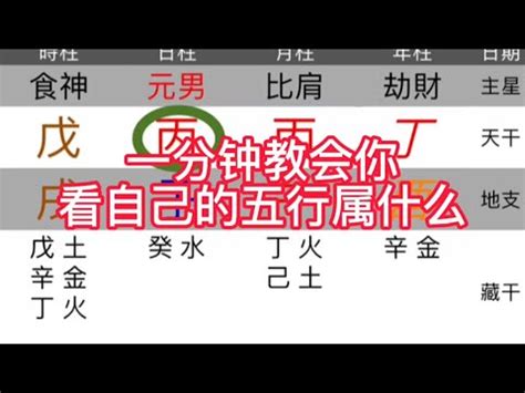 五行 命格|免費生辰八字五行屬性查詢、算命、分析命盤喜用神、喜忌